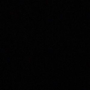 Meet your Posher, Lilly